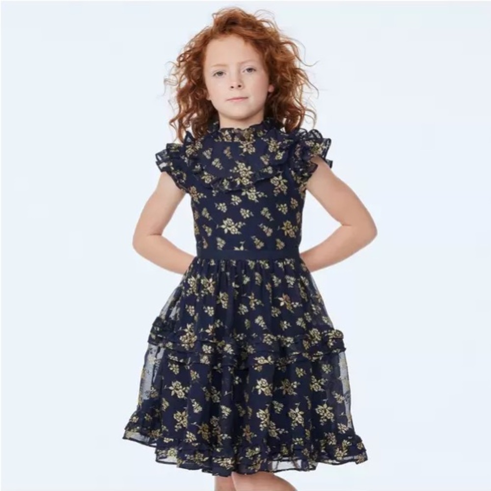 Janie and Jack The Sparkle Holiday Dress NWT